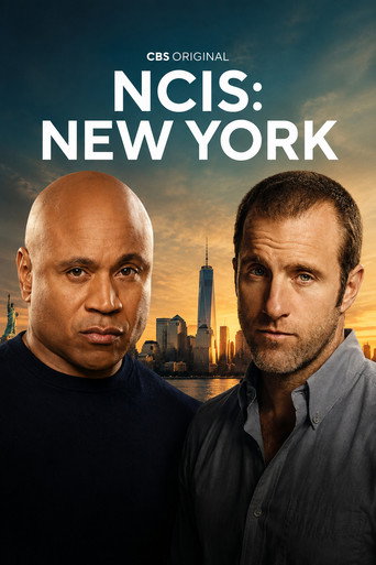 دانلود سریال NCIS: New York 2026