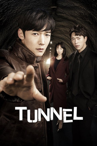 دانلود سریال Tunnel 2017 (تونل)