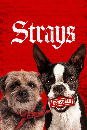 دانلود فیلم Strays 2023 (گمراه ها)