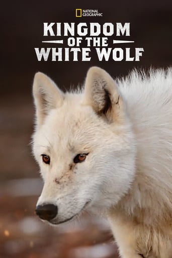 دانلود سریال Kingdom of the White Wolf 2019